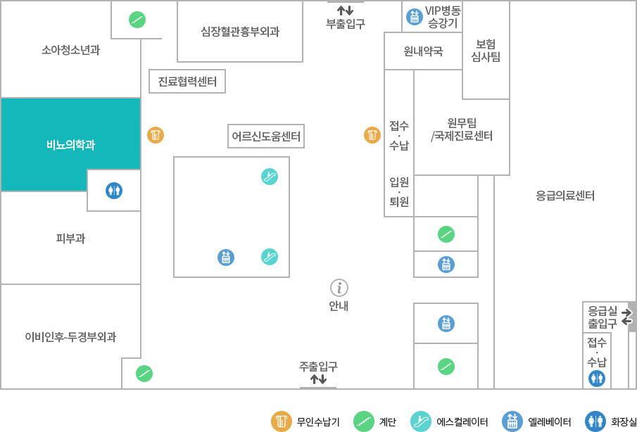 비뇨의학과