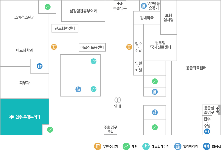 이비인후-두경부외과