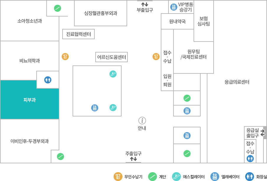 피부과