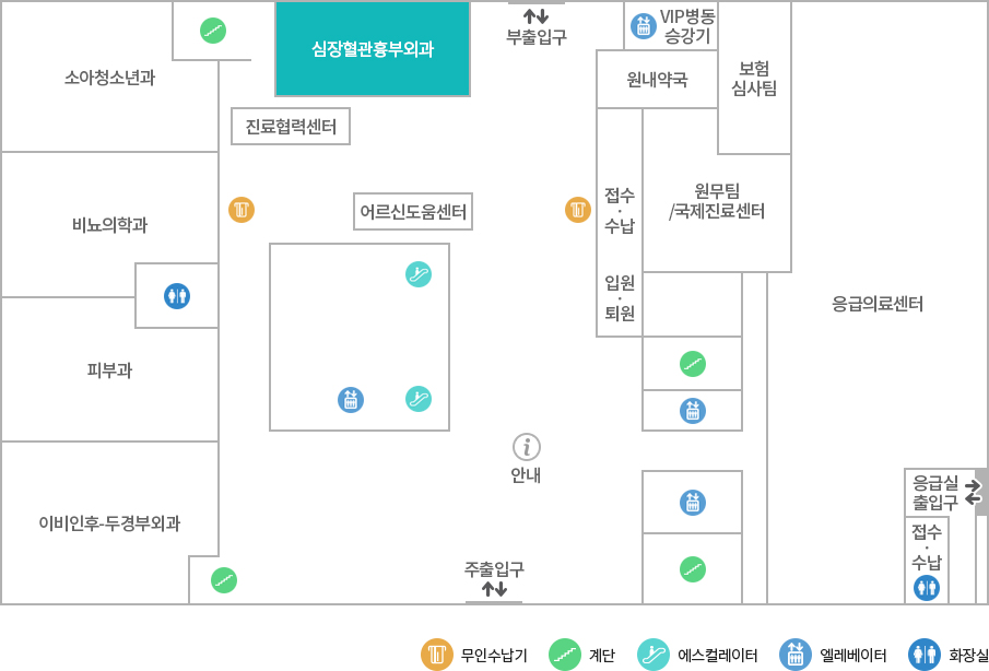 심장혈관흉부외과