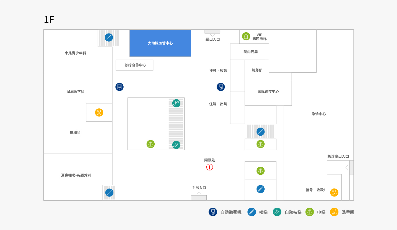 主动脉血管中心 위치이미지