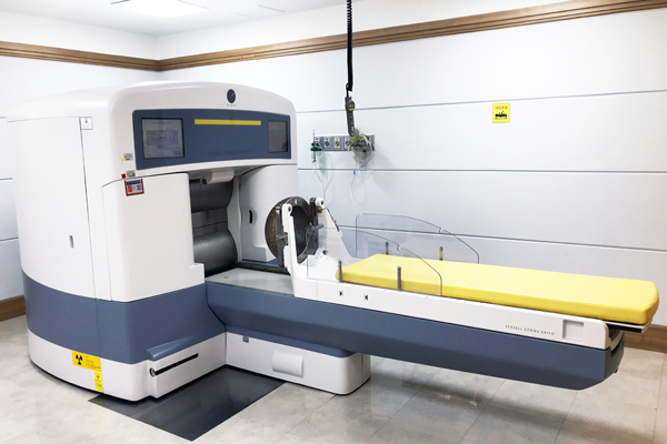 Leksell Gamma Knife